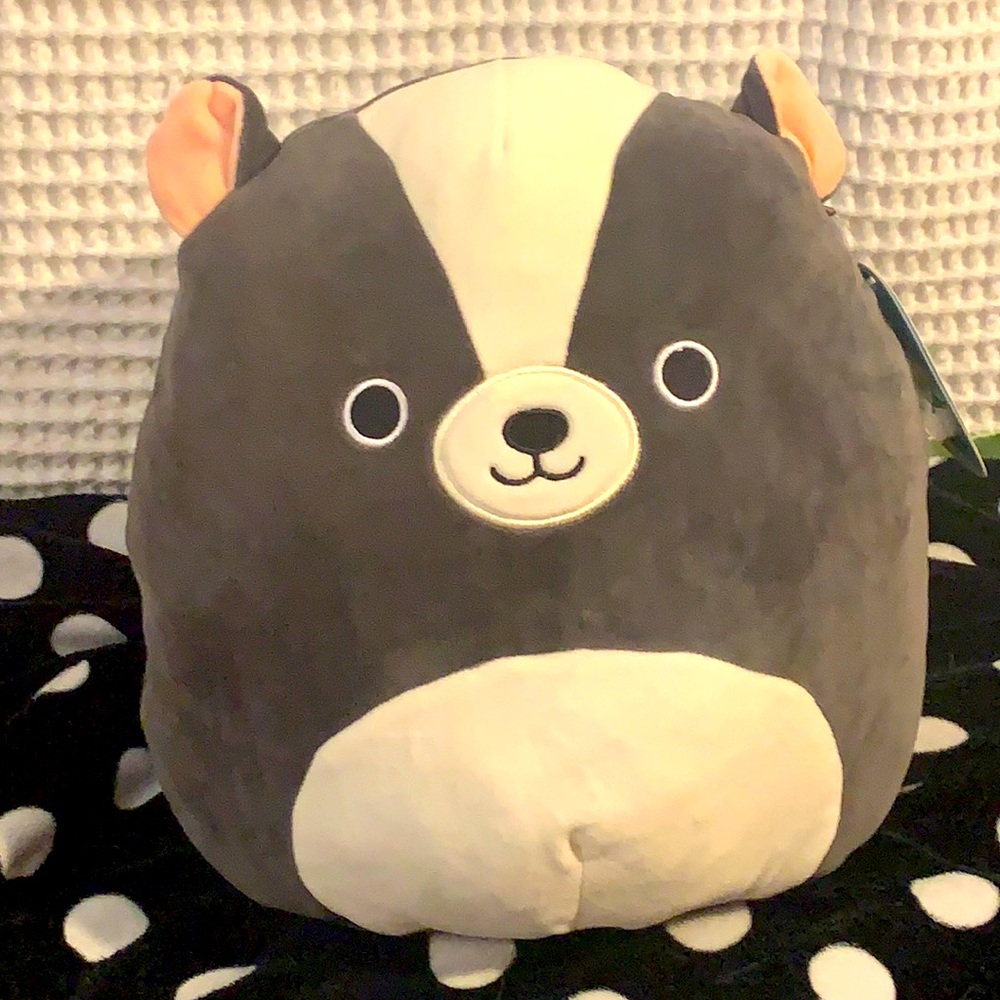Skyler squishmallow BNWT 12” skunk